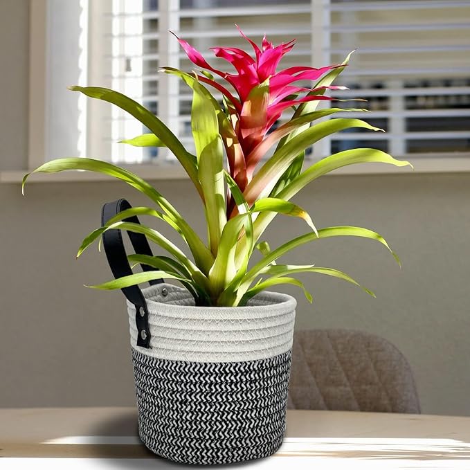 Cotton Rope Hanging Baskets for Organizing 2 Pcs Round Small Wall Basket - Image 9