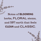 MRS. MEYER'S Clean Day Scented Oil Refills, Contains 2 .67 fl oz Refills - Image 3