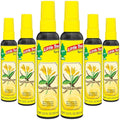 LITTLE TREES Car Air Freshener | Spray Provides a Long-Lasting Scent by LITTLETREES