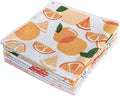 QUILTINA Dish Towels Set by Quiltina