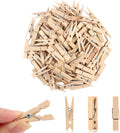 Small Clothes Pin, Mini Clothespins, Small Clothes Pins by LOTIMOYIA