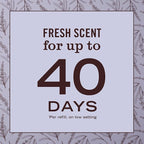 MRS. MEYER'S CLEAN DAY Scented Oil Refills, contains 4 .67 fl oz refills - Image 6