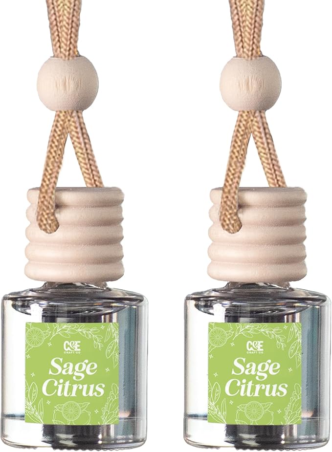 C&E Craft Co Hanging Car Air Freshener Diffuser 2 Pack, Long Lasting Fragrance by CECraftCompany