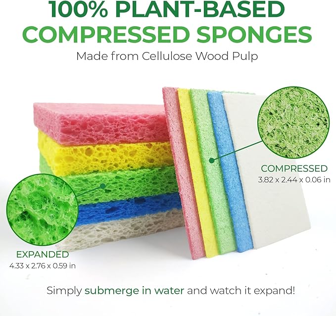 Compressed Cellulose Sponges - Image 4