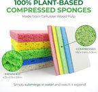 Compressed Cellulose Sponges - Image 4