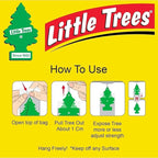 LittIe Trees Car Freshener - Image 4