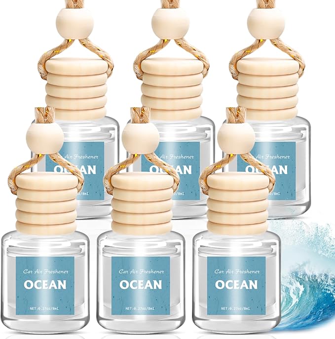 AROIC Car Air Freshener 6 Pack, Long Lasting Fresh Aroma Diffuser Set by AROIC