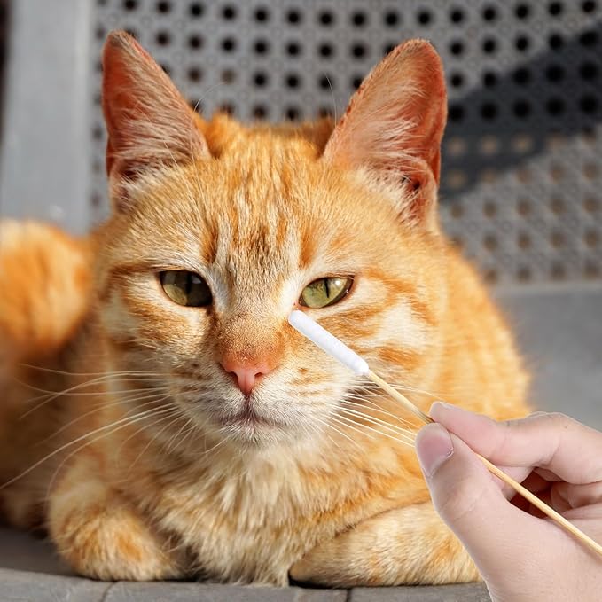 Long Cotton Swab for Dogs Ears, Wound Care, Tear Stain Removal - Image 5