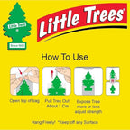 LITTLE TREES Car Air Freshener | Hanging Paper Tree - Image 5