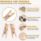 Mini Clothespins, Mini Clothes Pins - Image 3