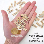 Mini Clothespins, Mini Clothes Pins - Image 4