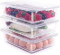 77L Food Storage Container, Plastic Food Containers by 77L