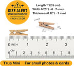 LWR CRAFTS Wooden Mini Clothespins 15 Colors 100 Per Pack 1" 2.5cm - Image 4