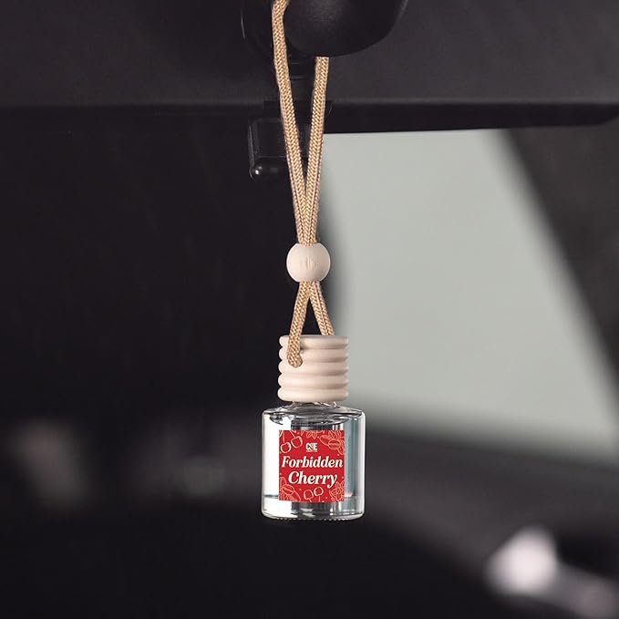C&E Craft Co Hanging Car Air Freshener Diffuser 2 Pack, Long Lasting Fragrance - Image 3