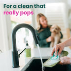 Scotch-Brite Dog Pop Up Non-Scratch Sponges, Limited Edition, Expands in Water - Image 5