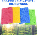 YoleShy 72 Pack Sponges Kitchen Natural Compressed Cellulose Sponges Bulk Non - Image 4