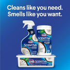 Clorox Scentiva Disinfecting Wet Mopping Cloths, Coconut and Waterlily - Image 9