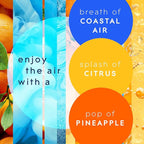 Glade PlugIns Refills Air Freshener Starter Kit, Scented Oil - Image 4