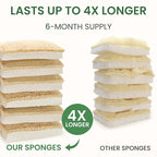 Natural Kitchen Sponges – Eco-Friendly, Compostable Dish Sponges – Loofah & - Image 5