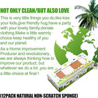 Natural Sponge Kitchen 12Pack, Eco Friendly Non-Scratch Scrub Sponge, - Image 6