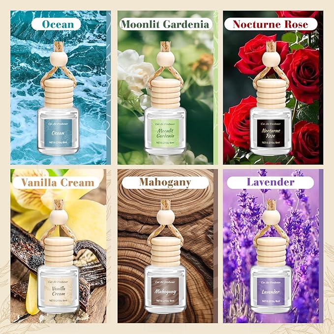 6 Pack Car Air Freshener - Image 4