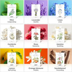 MYARO 12 Pcs Rose Scented Sachets Long Lasting Room Air Freshener Odor - Image 6