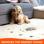 Tide Laundry Stain Remover Spray - Image 7