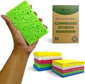 Compressed Cellulose Sponges by Airnex