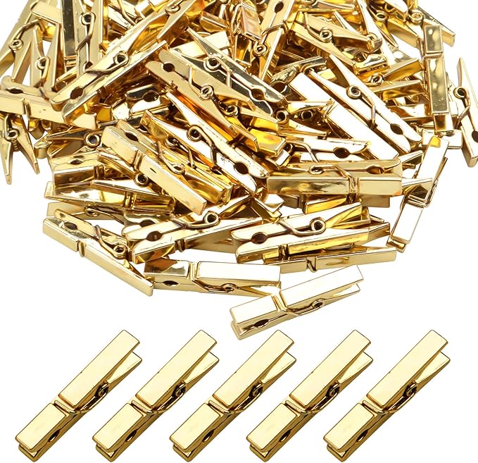 Mini Plastic Clips, 100 Pieces Utility Photo Clips Paper Peg Clothes Line Clips by Aylifu