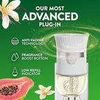 Air Wick Scented Oils 0+5 Vanilla & Pink Papaya​ - Image 7