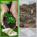 1000 Precision Tip Bamboo Cotton Swabs, Biodegradable & Organic Double Pointed - Image 2