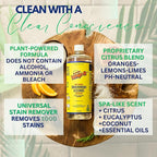 Whip-It Stain Remover and Concentrate Kit, 2-32oz Concentrates & 1-32 OZ Pro - Image 7
