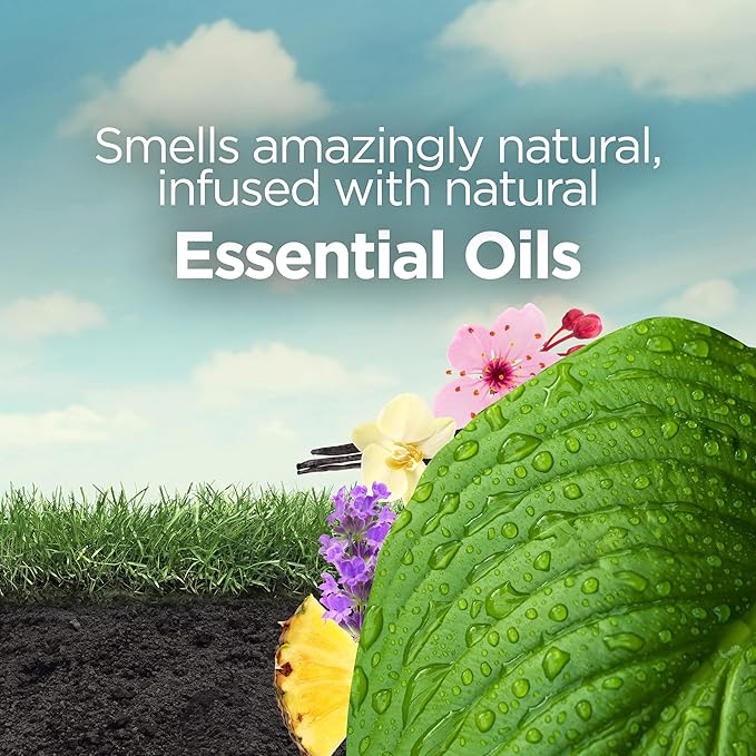 Botanica by Air Wick Plug in Scented Oil Refill, Fresh Pineapple and Tunisian - Image 6