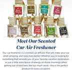 C&E Craft Co Hanging Car Air Freshener Diffuser 2 Pack, Long Lasting Fragrance - Image 4