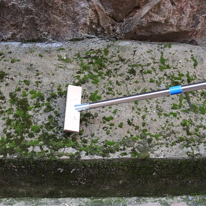 Stainless Steel Wire Scrub Brush - Image 4