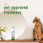 Febreze Air Mist Air Freshener Spray, Odor-Fighting Room Spray, Air Fresheners - Image 5