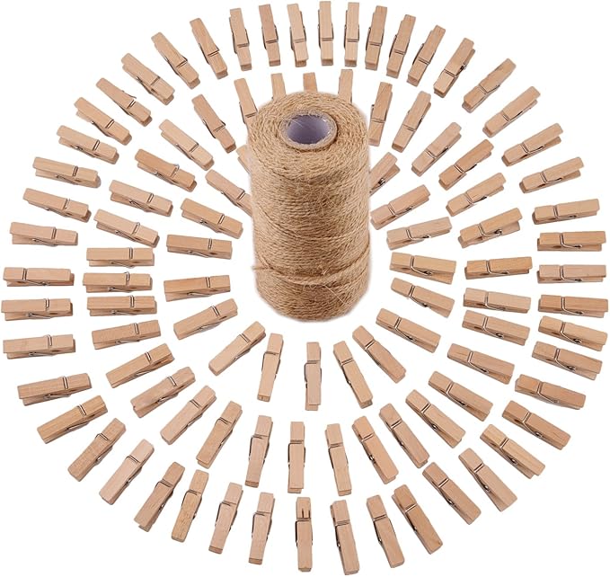 320 Feet Jute Twine and 100 Pieces Mini Natural Wooden Craft Clothespins Pegs by Sunmns