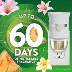 Air Wick Plug in Scented Oil Refill, Summer Delights, Scented Oil, Air Freshener - Image 2