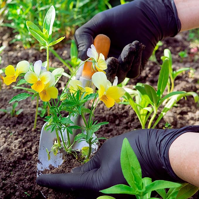 FifthPulse Biodegradable Gloves - Image 8