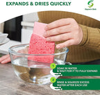 Compressed Non-Scratch Kitchen Sponges - Image 6