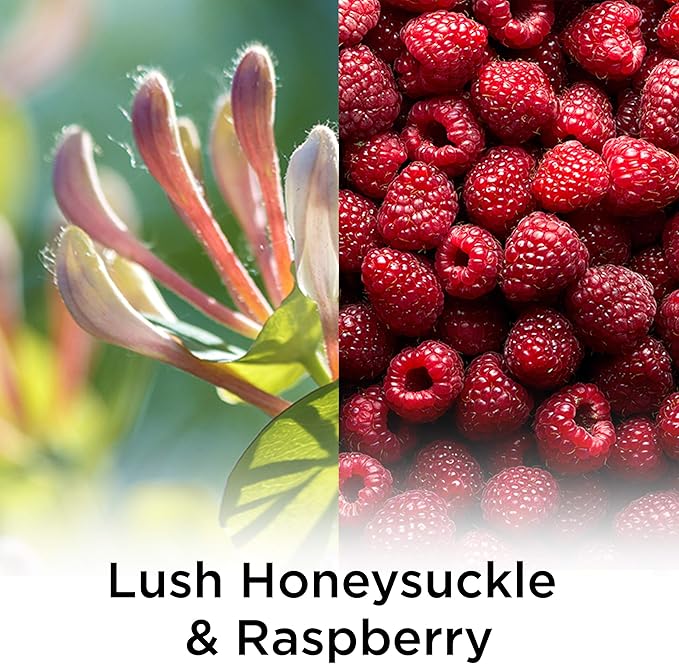 Air Wick Plug in Scented Oil Refill, 5 ct, Lush Honeysuckle and Raspberry - Image 2