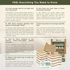 Plant-Based Kitchen Sponges | FSC-Certified & PETA Approved | Natural Cellulose - Image 8