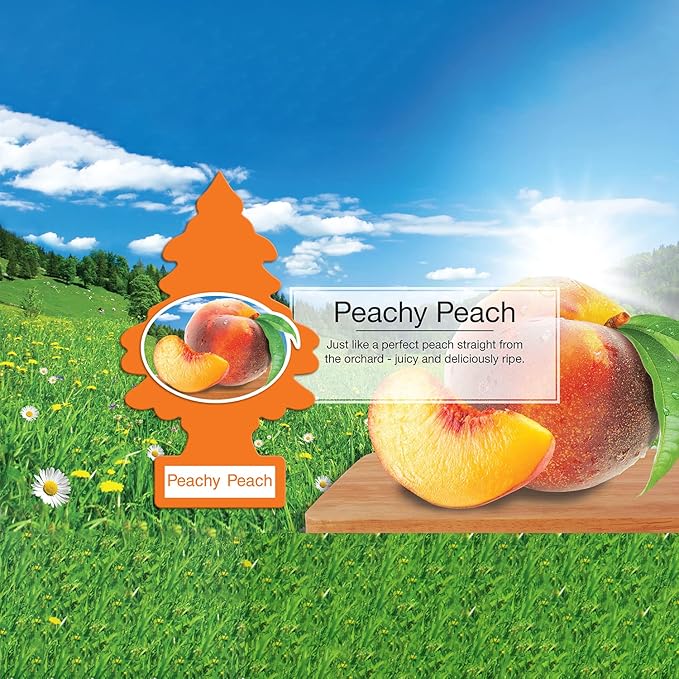 Little Trees Cardboard Hanging Car, Home & Office Air Freshener, Peachy Peach - Image 5