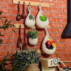 ShellKingdom Wall Hanging Baskets - Image 2