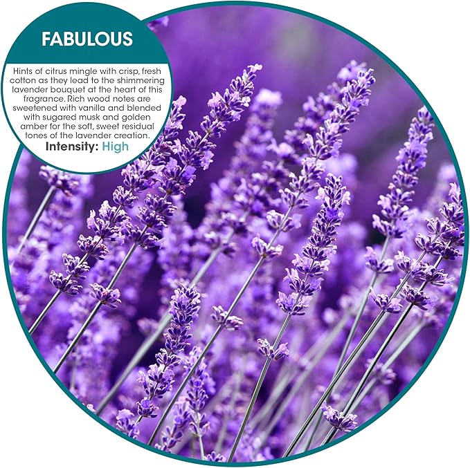 Fresh Products Eco Bowl Clip Air Freshener Versatile Design Toilet Freshener - Image 2
