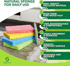 Compressed Non-Scratch Kitchen Sponges - Image 2