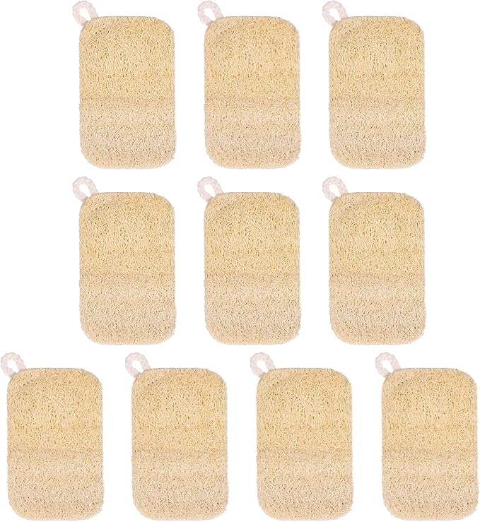 10 PCS Natural Sponges for Dishes, Loofah Dish Sponge for Kitchen Compostable by Unknown