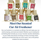 C&E Craft Co Hanging Car Air Freshener Diffuser 2 Pack, Long Lasting Fragrance - Image 6
