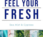 Glade PlugIns Refills Air Freshener, Sea Mist & Cypress, Scented and Essential - Image 2