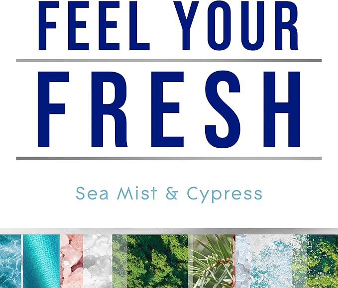 Glade PlugIns Refills Air Freshener, Sea Mist & Cypress, Scented and Essential - Image 2